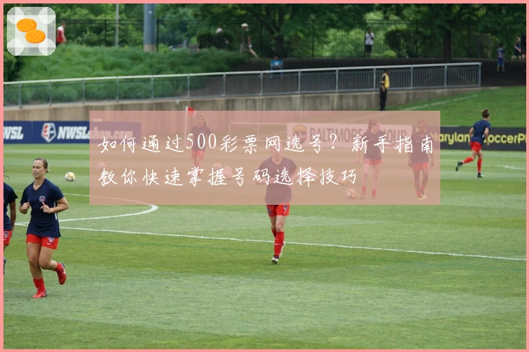 如何通过500彩票网选号？新手指南教你快速掌握号码选择技巧